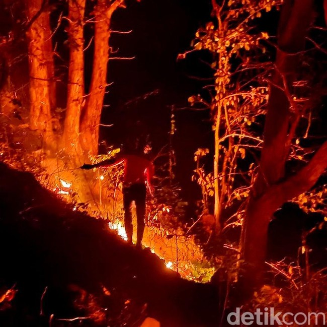 Kebakaran Hutan Gunung Ijen