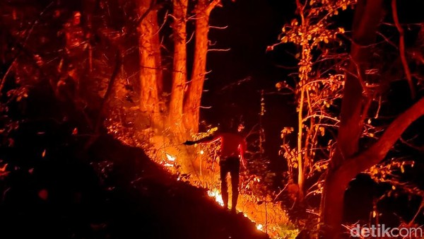Kebakaran Hutan Gunung Ijen