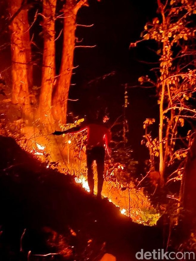 Kebakaran Hutan Gunung Ijen