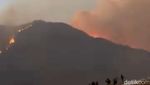 Kebakaran Hutan Gunung Ijen