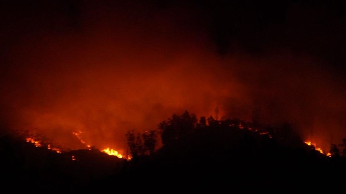 Kebakaran di kawasan Merapi ungup-ungup yang meluas hingga TWA ijen
