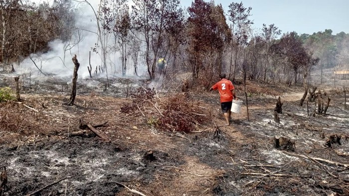 Kebakaran lahan di Desa Kudung, Kecamatan Lingga Timur, Kabupaten Lingga, Kepri, Kebakaran seluas sekitar 30 hektare itu telah berlangsung sejak 22 Agustus 2026