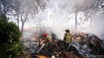 Kebakaran Tumpukan Sampah, Petugas Berjuang Padamkan Api