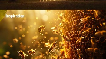 Sarang lebah jadi inspirasi. The Hive, Kew Gardens, London, Inggris. Instalasi unik ini terinspirasi dari kehidupan lebah dan struktur sarangnya. Susunan ribuan elemen aluminium membentuk kisi-kisi raksasa yang menggambarkan kompleksitas sebuah koloni lebah. Foto: Instagram/@juli.yet