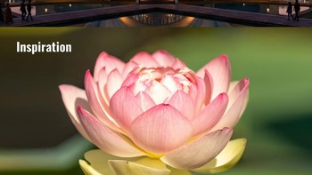 Lotus Temple, New Delhi, India. Sesuai namanya, rumah ibadah ini dirancang menyerupai bunga teratai yang sedang mekar. Susunan kelopak putih raksasanya menjadikannya salah satu contoh arsitektur yang sangat jelas mengambil inspirasi dari alam. Foto: Instagram/@juli.yet