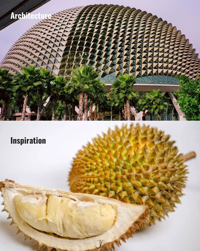 Ketika Alam Jadi Inspirasi Arsitek