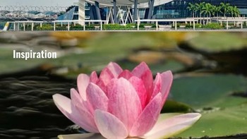 ArtScience Museum, Singapura. Bangunan di Marina Bay ini memiliki bentuk menyerupai bunga yang sedang mekar. Sepuluh struktur seperti kelopak atau jari membentang dari bagian tengah dan menjadikannya salah satu landmark paling mudah dikenali di Singapura. Foto: Instagram/@juli.yet