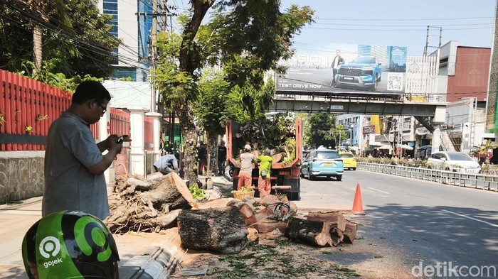 Kondisi pohon tumbang timpa dua motor di Jalan Pandanaran, Semarang Tengah, Kota Semarang, Jumat (4/9).