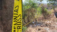 Kerangka Manusia di Jurang Tol Jangli, Diduga Mozza yang Hilang Tahun Lalu