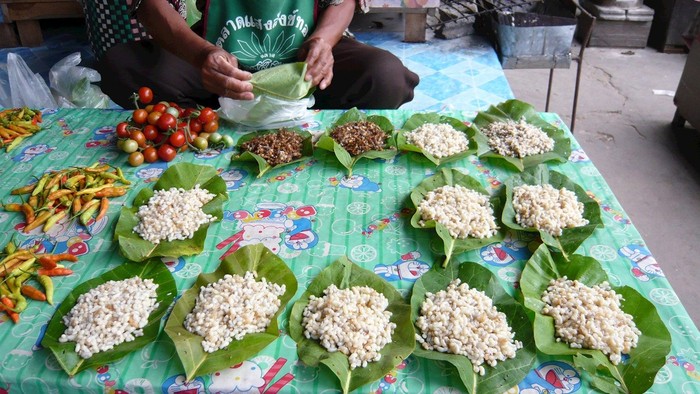Makanan serangga