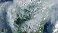 NASA Soroti Kebakaran Gambut RI, Aktivitasnya Mirip 2015