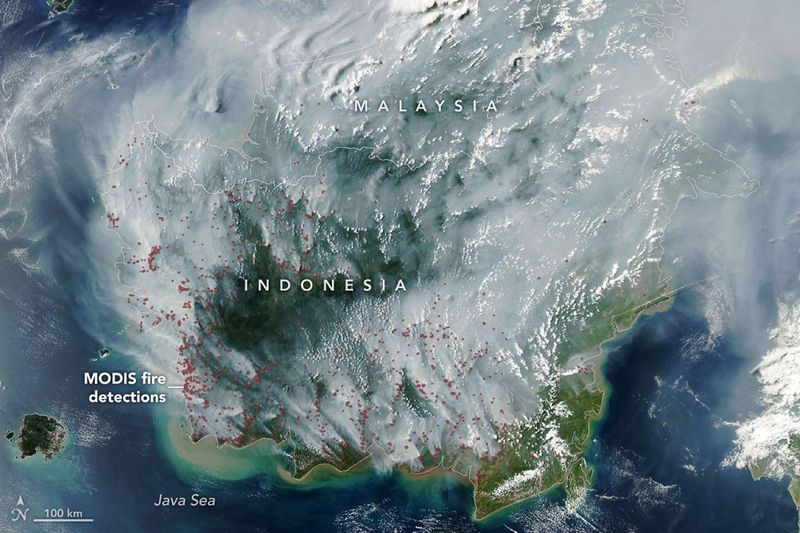 NASA Soroti Kebakaran Gambut RI NASA Soroti Kebakaran Gambut RI