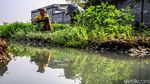 Menjaga Asa dari Ladang Kangkung Rorotan