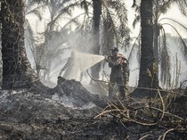 Tanah Gambut Susah Padam karena Terbakar dari Dalam, BRIN Kembangkan Sistem Ini