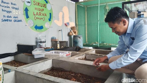 Pengolahan sampah di Rest Area KM 164 Tol Cipali Majalengka. Pengolahan sampah di Rest Area KM 164 Tol Cipali Majalengka.