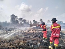 KKI Warsi Sebut Luasan Karhutla di Jambi Capai 10.000 Hektare