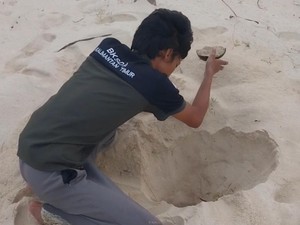 Telur Penyu di Sangalaki Masih Dicuri, BKSDA Kaltim Perketat Patroli
