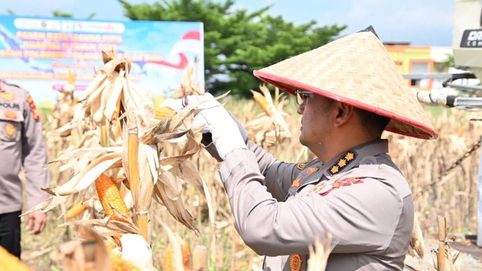 Polda Riau terus mendukung ketahanan pangan melalui penanaman jagung pipil