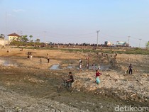 Sungai Juana Pati Jadi Wisata Dadakan gegara Viral Ribuan Ikan Terdampar