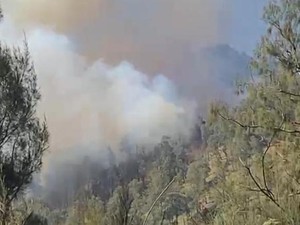Karhutla 3.834 Ha dan Kekeringan di Jatim, Pemprov Upayakan OMC