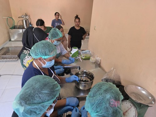 Tim Bestari Scientech Universitas Pendidikan Ganesha (Undiksha) menggelar sosialisasi dan pelatihan bagi petani anggur di Desa Banjar.