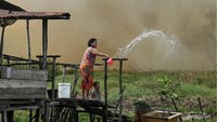 Kebakaran Hutan Jadi Alarm, Destinasi Wisata Indonesia Harus Tangguh