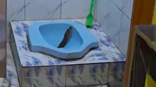 Video ular sanca muncul dari lubang kloset toilet viral di media sosial. Setelah ditangkap, ternyata ular tersebut panjangnya sekitar 3 meter. Gede jasa! (dok @arbiyantoarbi)