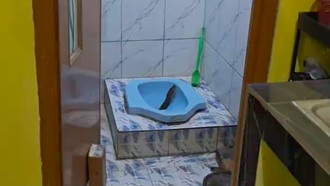 Kaget! Sanca 'Gede Jasa' Tiba-tiba Nongol di Kloset Rumah Warga Tangerang