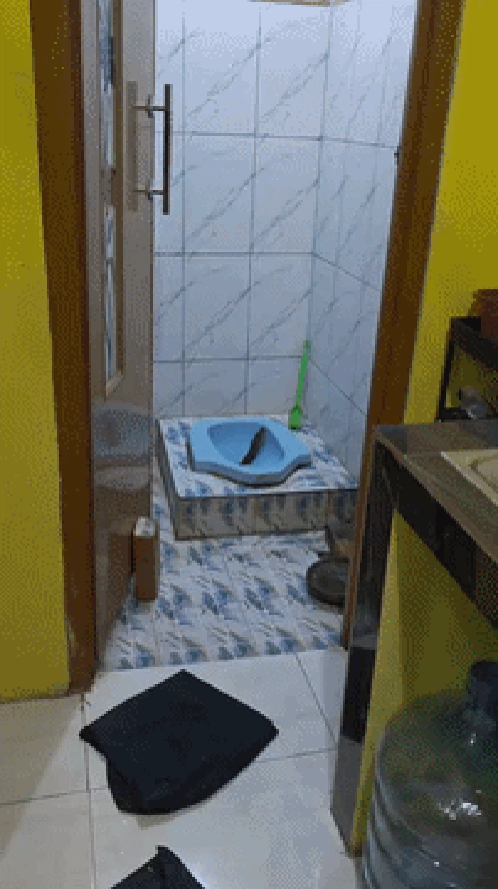 Video ular sanca muncul dari lubang kloset toilet viral di media sosial. Setelah ditangkap, ternyata ular tersebut panjangnya sekitar 3 meter. Gede jasa! (dok @arbiyantoarbi)