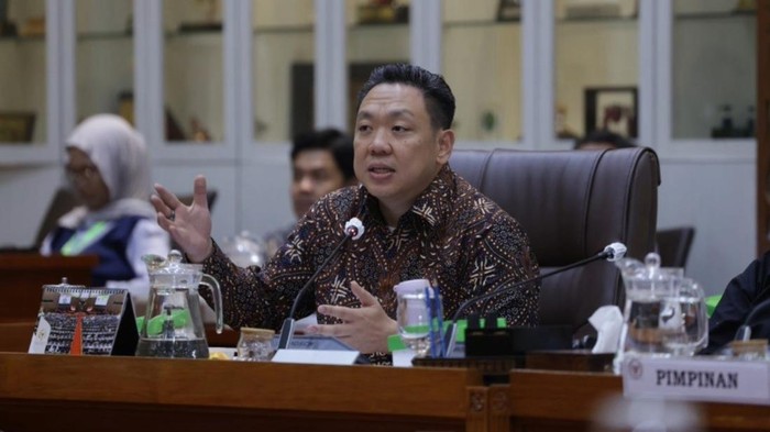 Wakil Ketua Komisi IX DPR RI Charles Honoris