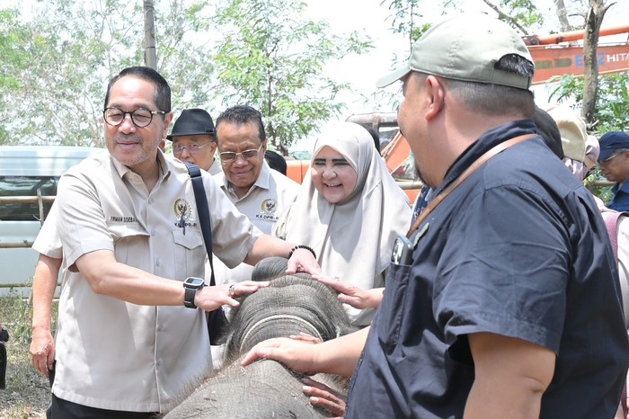 Anggota Komisi IV DPR RI Firman Soebagyo