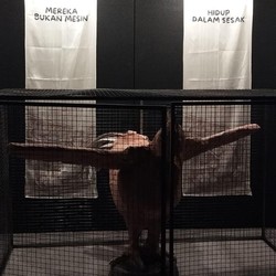 Beyond the Cage, Karya Seni Instalasi Unik Soal Ayam Petelur