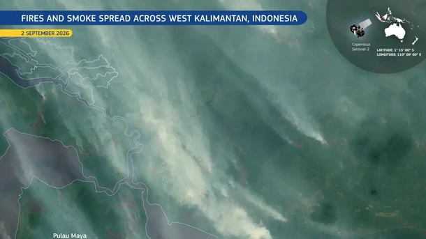 Satelit Uni Eropa Tangkap Kebakaran Ketapang, Asap Tebal Membubung