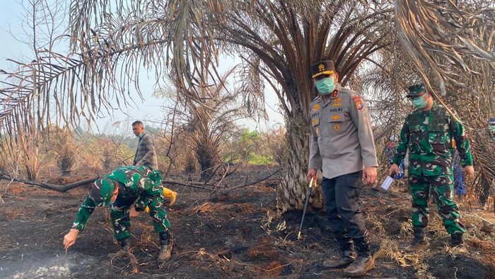 Kapolda Riau dan Pangdam Tuanku Tambusai mengecek karhutla di Kabupaten Siak, Sabtu (5/9/2026).