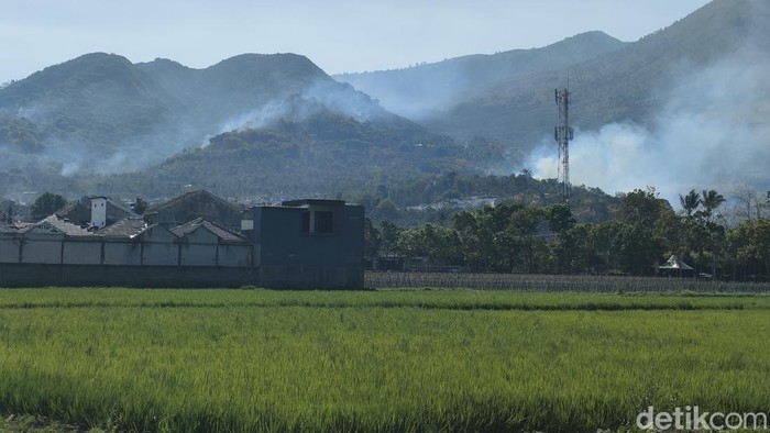 Kebakaran di kaki Gunung Guntur.