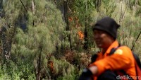 Kepala Balai Besar Konservasi Sumber Daya Alam (BBKSDA) Jawa Timur Nur Patria Kurniawan mengatakan, api mulai bergerak ke sisi barat atau arah Kalipait pada Sabtu (5/9/2026) siang. Pergerakan api terjadi setelah bahan bakar di kawasan Taman Wisata Alam (TWA) Ijen mulai habis.