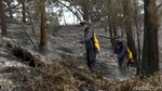 Pemadaman Kebakaran Gunung Ijen