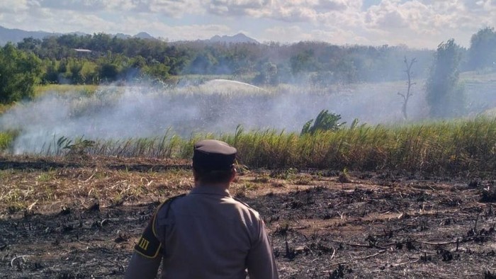 Kebakaran lahan tebu di Tulungagung gegara kotoran manusia