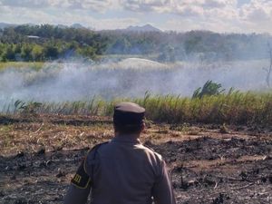 6 Fakta Lahan Tebu 1,4 Hektare di Tulungagung Terbakar gegara Tinja
