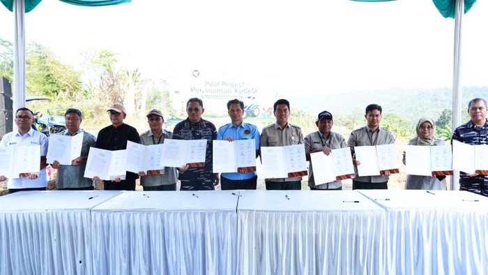 Kebutuhan Kedelai Tembus 2,79 Juta Ton, Pemerintah Perkuat Produksi Lokal