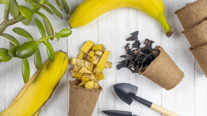 Kulit pisang