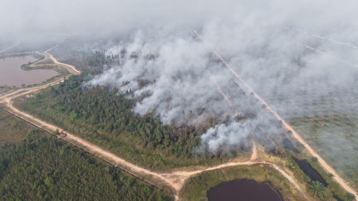 Penampakan dari udara Kebun Raya Sriwijaya yang terbakar