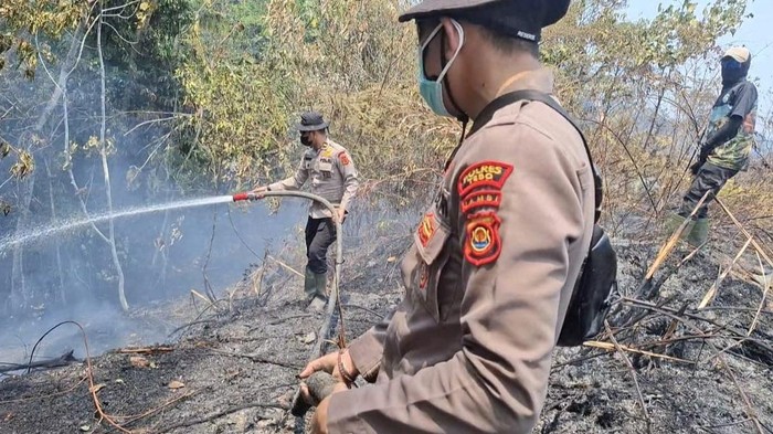Petugas saat memadamkan kebakaran lahan di Tebo, Jambi