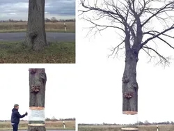 12 Street Art Kreatif yang Bikin Benda Biasa Terlihat Hidup