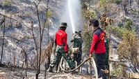 Karhutla Menggerogoti Destinasi Wisata, Ini Saran Para Pakar