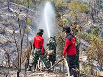 DPRD Jambi Minta Menhut Transparan Soal Perusahaan Diduga Terlibat Karhutla