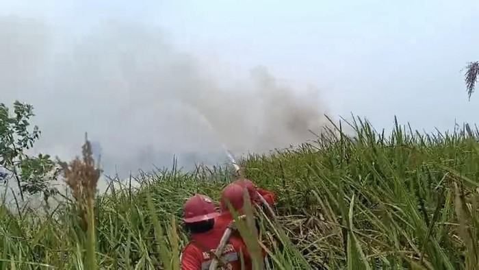Tim gabungan melakukan pemadaman Karhutla di area SM Padang Sugihan