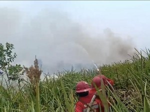 Kolaborasi TNI AU-APP Group Perkuat Penanganan Karhutla di Sumsel
