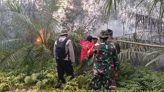 Tim gabungan padamkan karhutla di Banyuasin