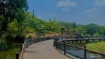 Liburan ke Solo Safari, Ini yang Perlu Diketahui Traveler